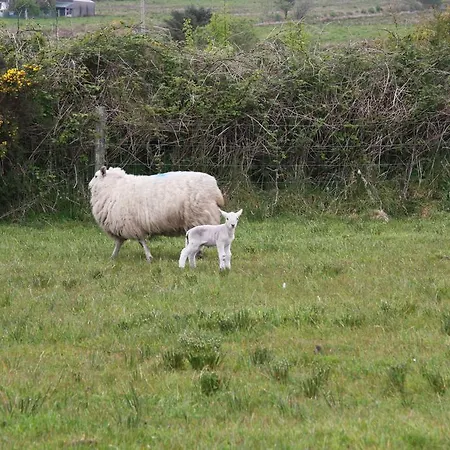 The Old School House Penzion