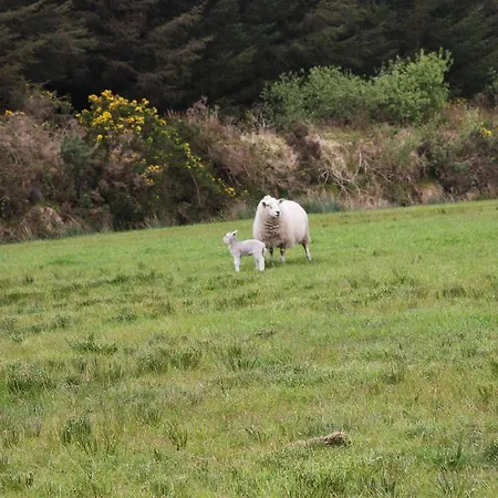 Penzion The Old School House Ballinskelligs