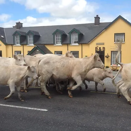 Vendégház The Old School House Ballinskelligs
