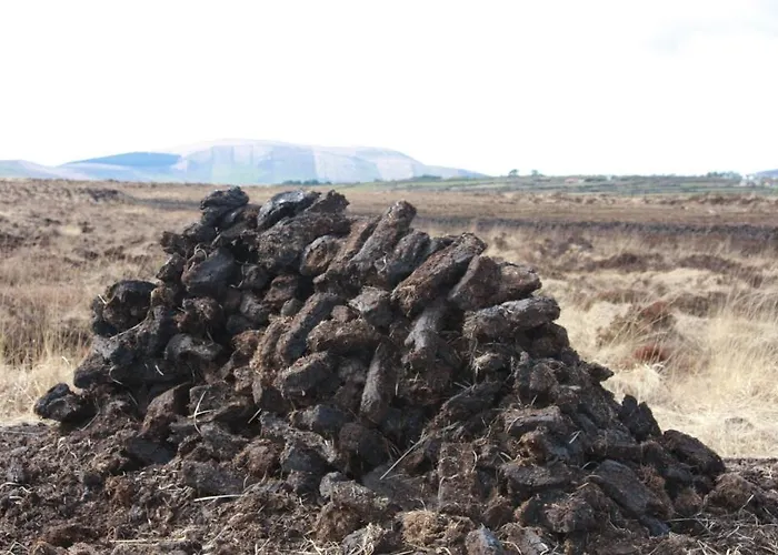 The Old School House Gasthof