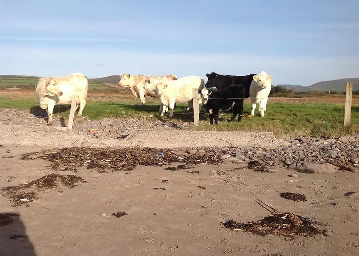 The Old School House Gasthuis 3*