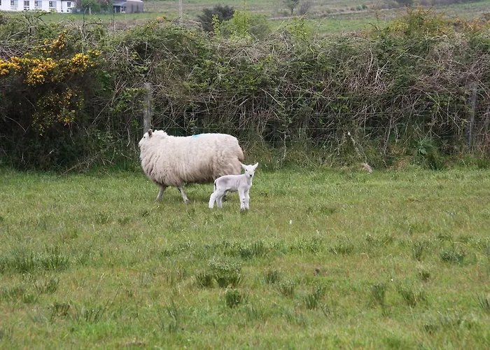 The Old School House Gasthuis