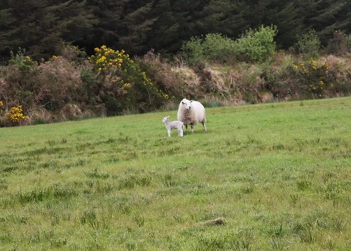 Gasthof The Old School House Ballinskelligs