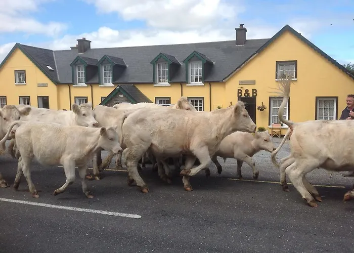 Gasthuis The Old School House Baile na Sceilge